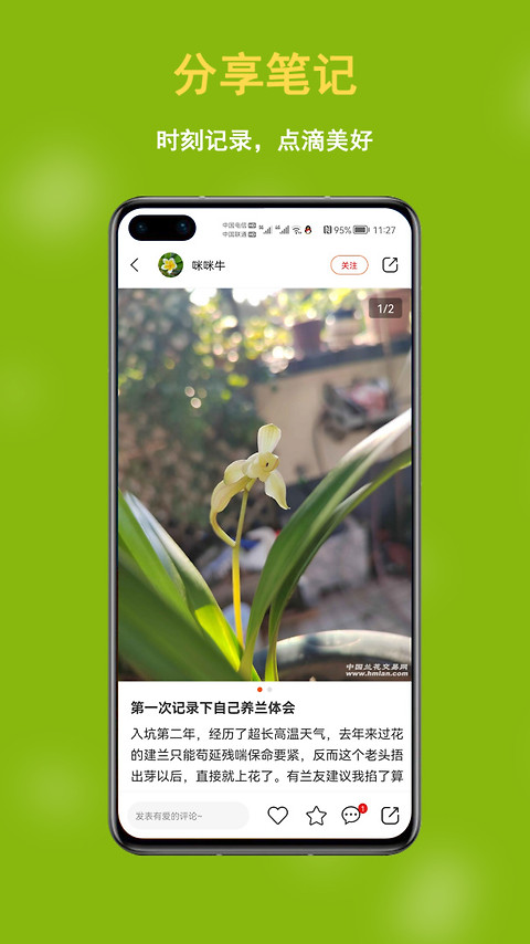 兰花交易网
