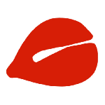 电子木鱼官方版