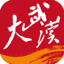 大武汉app