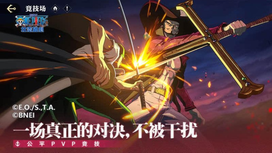 航海王壮志雄心官服