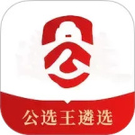 公选王app