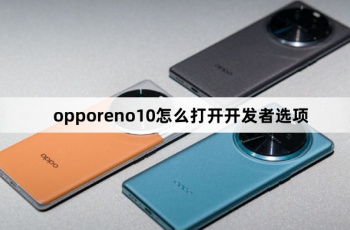 opporeno10如何打开开发者选项
