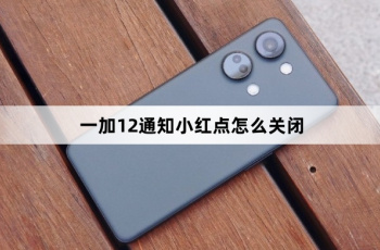 一加12通知小红点如何关闭