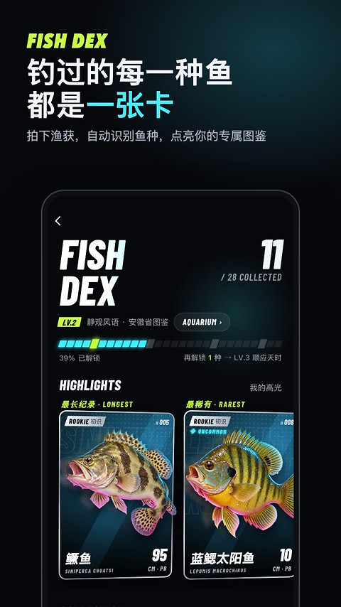钓鱼佬最新版
