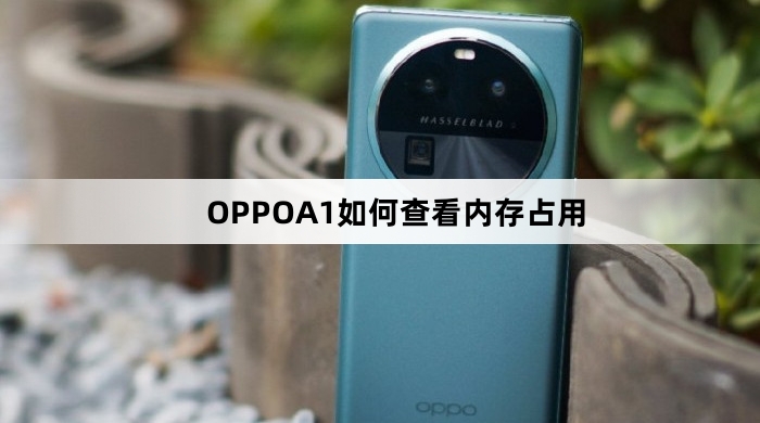 OPPOA1怎么查看内存占用