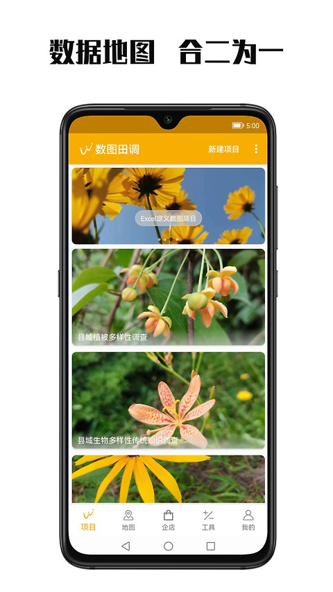 数图田调app