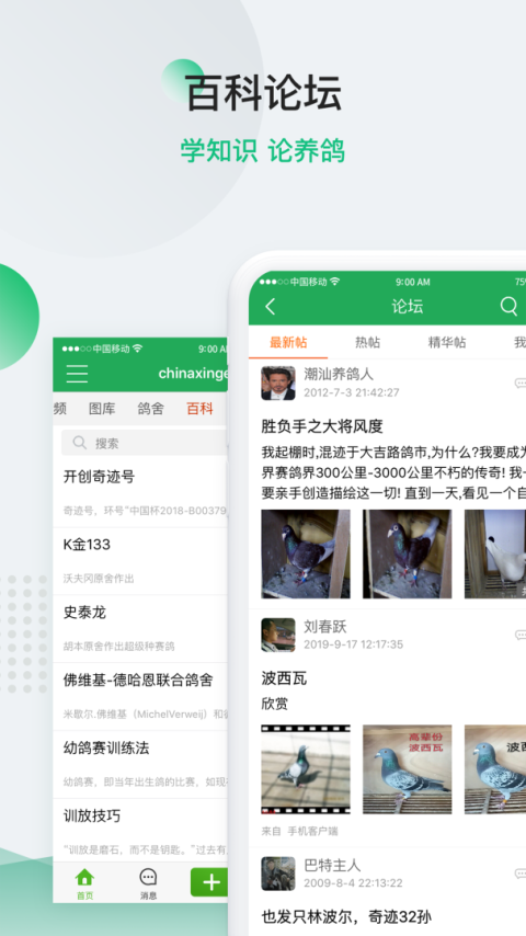 中国信鸽信息网app