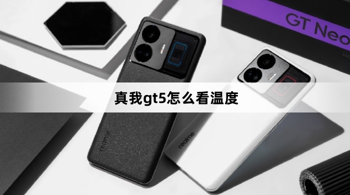 真我gt5如何看温度