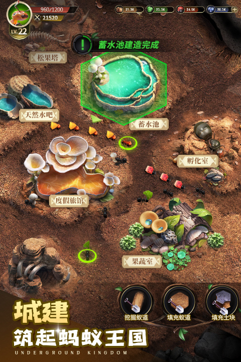 小小蚁国华为版