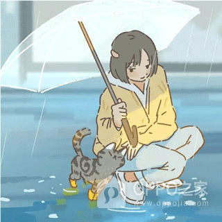 遇见你的猫2026最新版