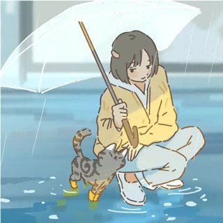 遇见你的猫2026最新版