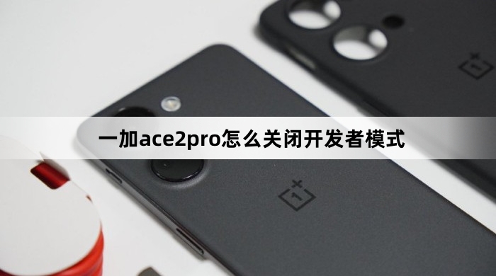 一加ace2pro关闭开发者模式教程