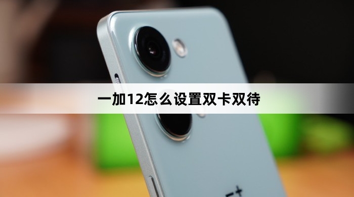 一加12如何设置双卡双待