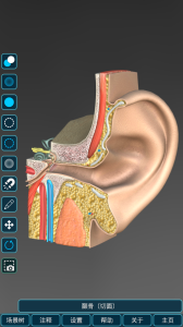 人体解剖学图集app