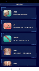 3D人体解剖图谱app