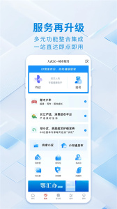 大武汉app
