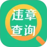 交通违章查询app