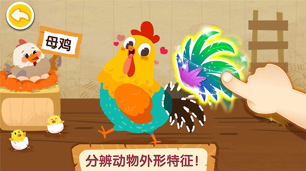奇妙的动物家庭
