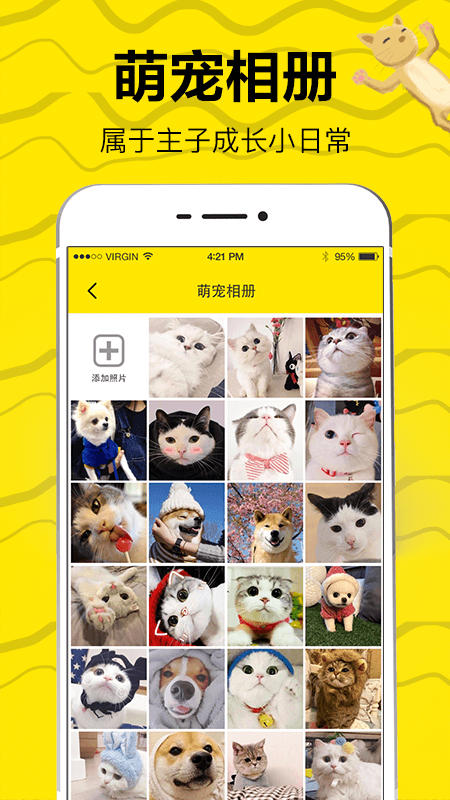 猫语交流翻译器app
