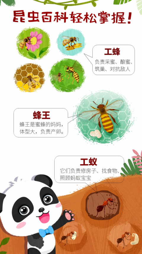奇妙昆虫世界app
