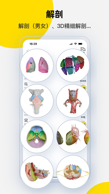 3Dbody解剖app