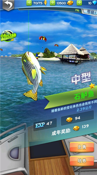 全民钓鱼2