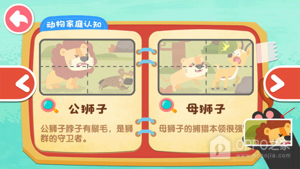 奇妙的动物家庭