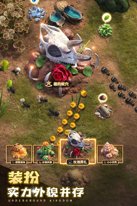 小小蚁国官方版