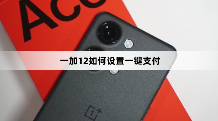 一加12怎么设置一键支付