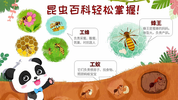 奇妙昆虫世界app