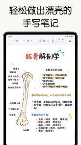 自由笔记app官方版