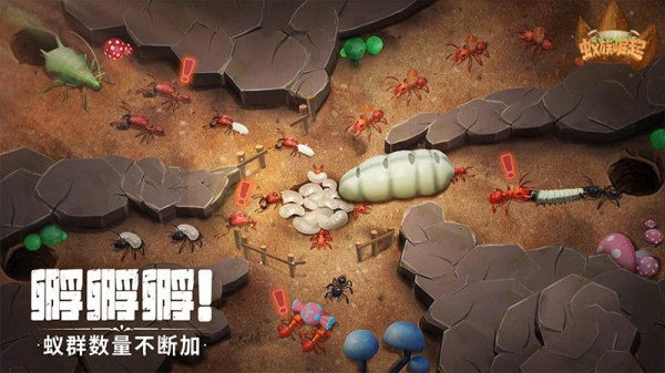 蚁族崛起华为版