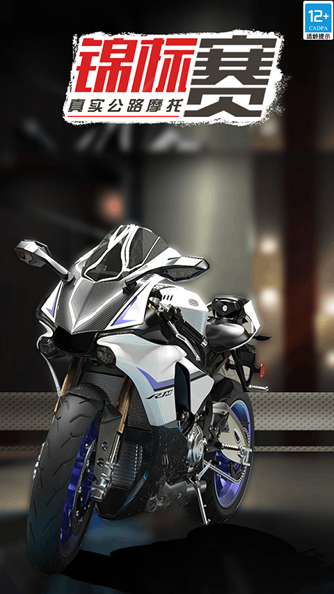 真实公路摩托锦标赛