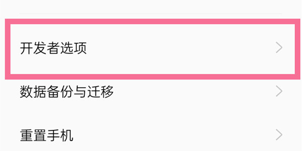 真我Realme 10 Pro如何进入开发者模式
