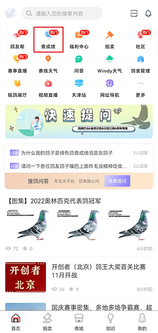 搜鸽网app