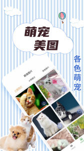 人猫翻译交流器app