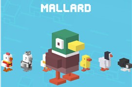 天天过马路最新版本