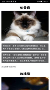 拍照识花神器app