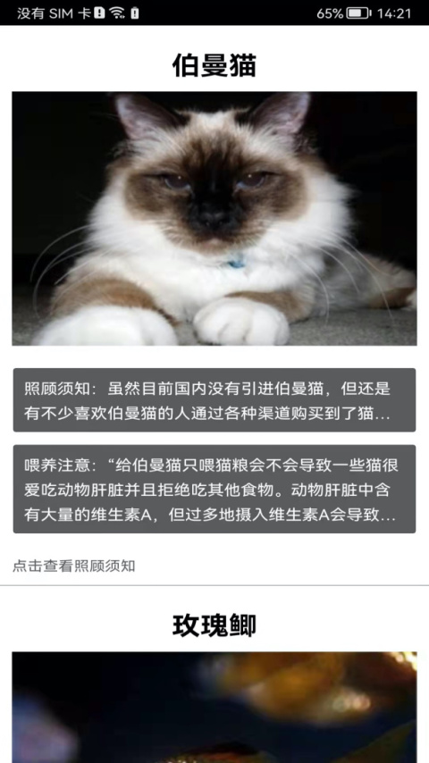 拍照识花神器app