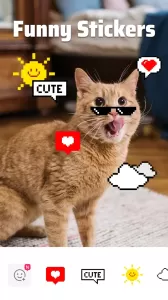 Sweet Selfie官方版