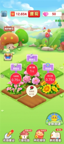 开心花园官方正版