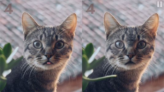 慧眼寻异手游最新版