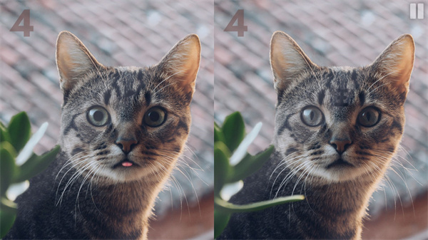 慧眼寻异手游最新版