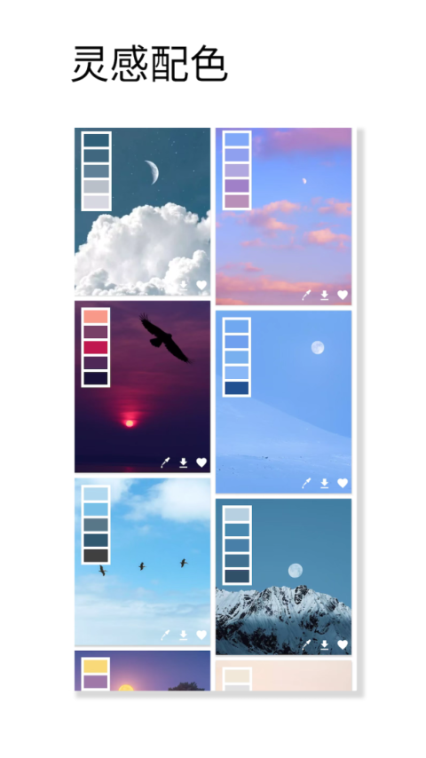 观色配色app