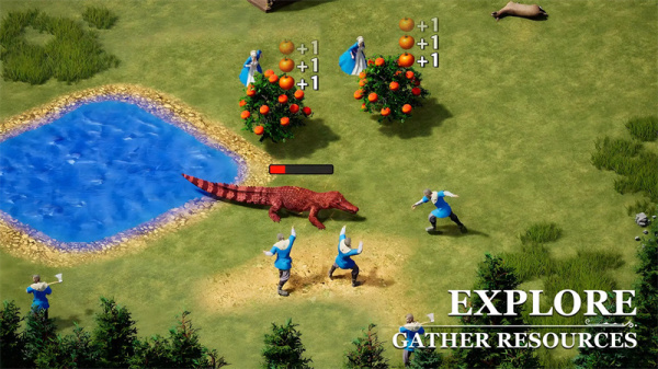 泰拉贝尔国际服