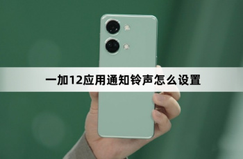 一加12应用通知铃声如何设置