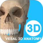 维萨里3D解剖app