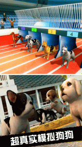 我的萌宠世界官方正版