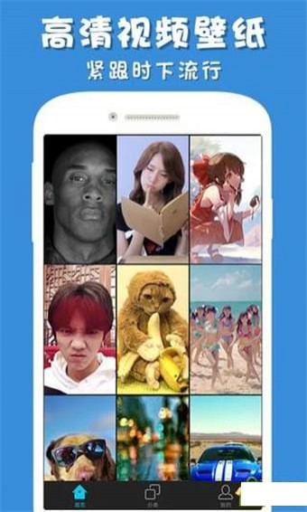 彩蛋视频壁纸app