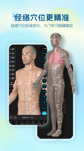 维萨里3D解剖app